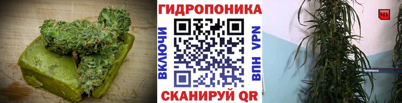 Cannafood марихуана  наркота  Макушино 