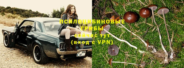экстази Алексеевка