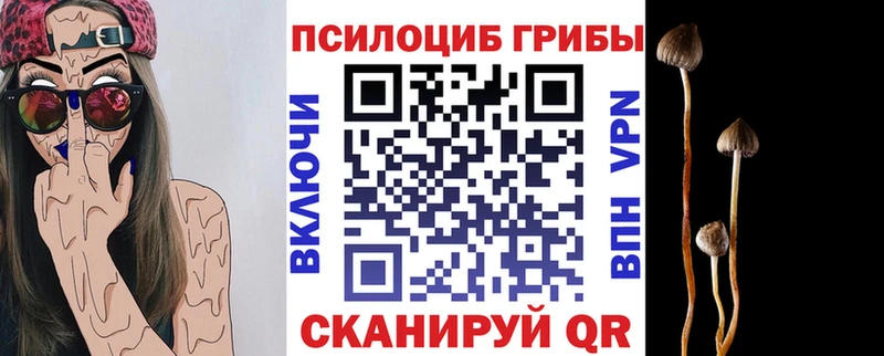 Псилоцибиновые грибы Psilocybe Макушино